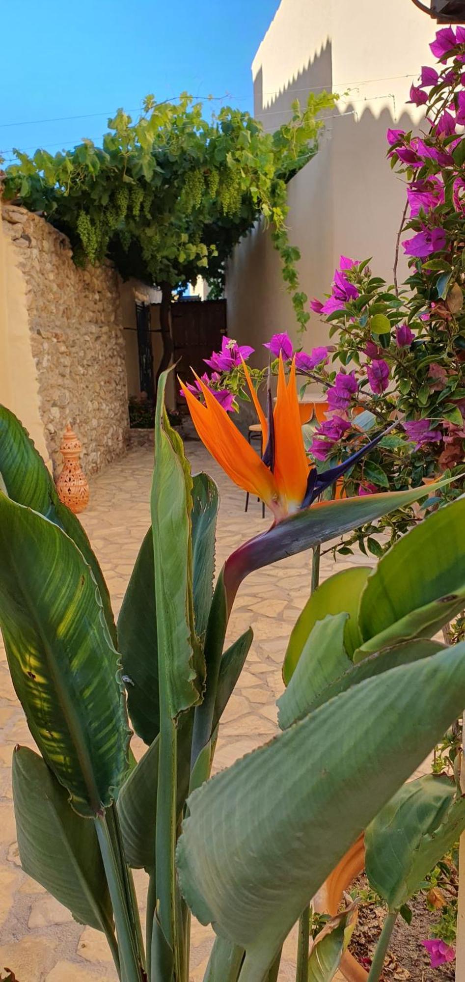 El Jardin Secreto Apartment Oria ภายนอก รูปภาพ